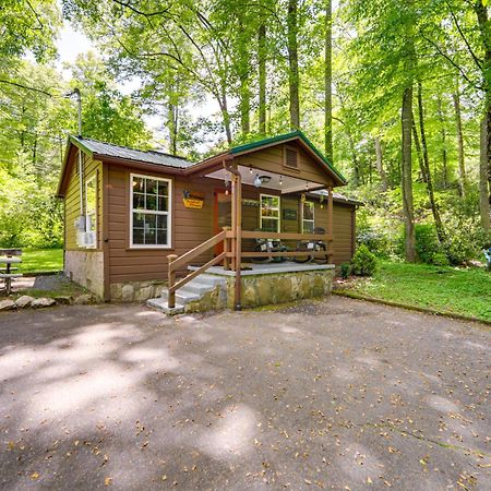 Pet-Friendly Creekside Cabin With Pool Access! Мегги-Вэлли Экстерьер фото